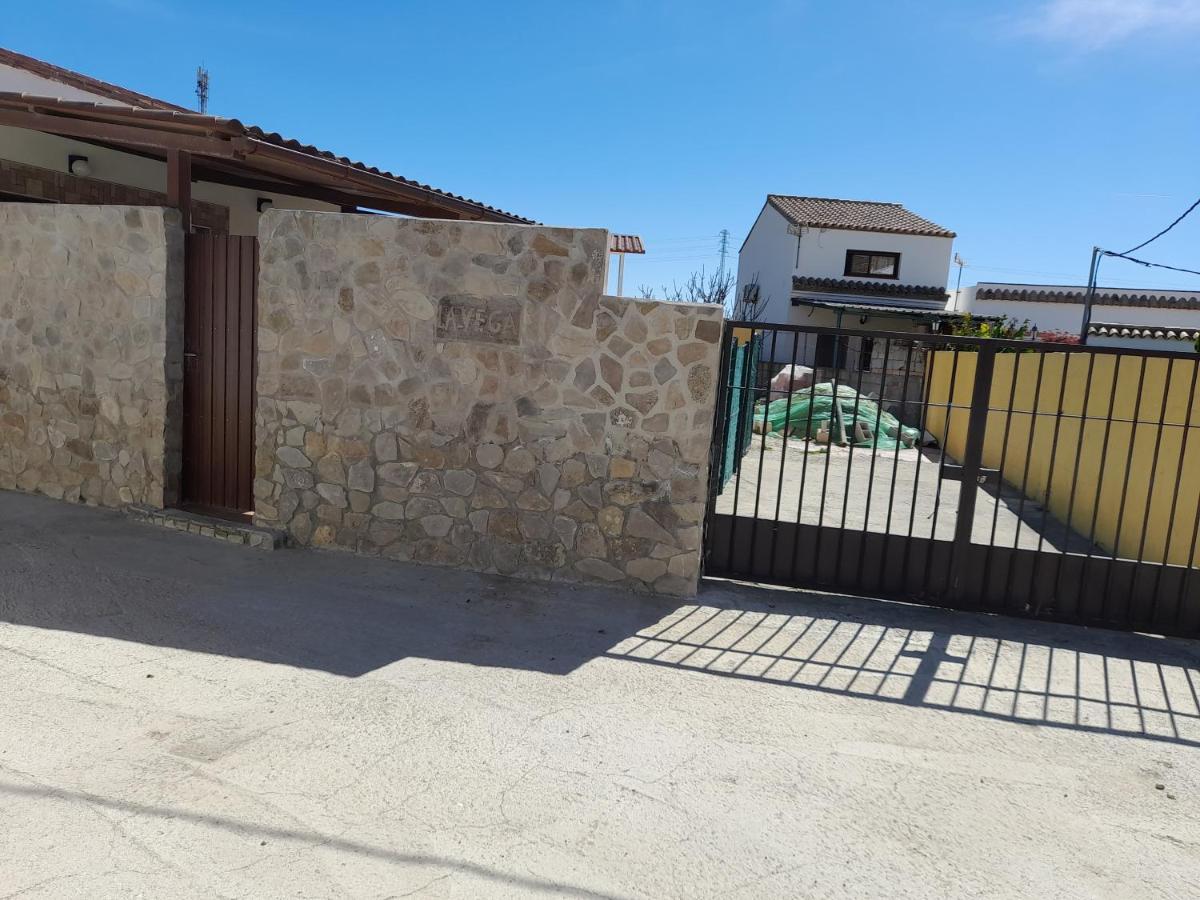 La Vega Apartment Tarifa Bagian luar foto